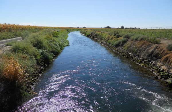 irrigation canal